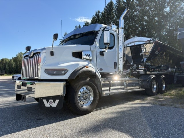 WT8486